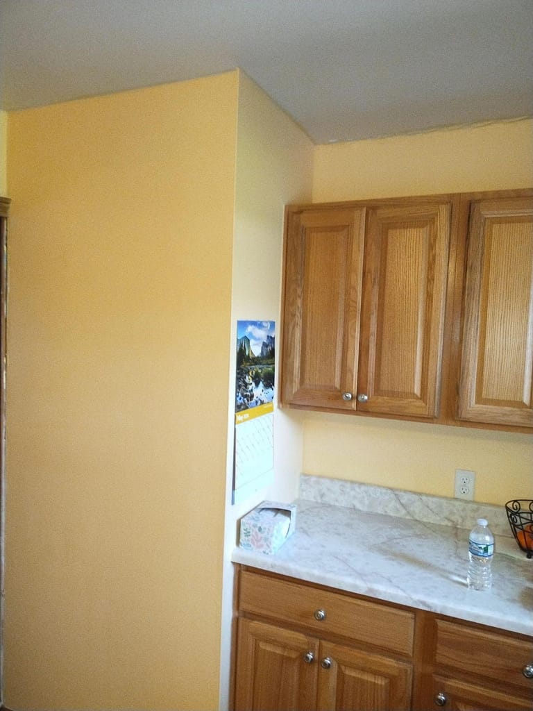 Transforming Homes: The Expertise of BGK Handy Services 1000005578 768x1024